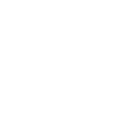 ars-icono.png