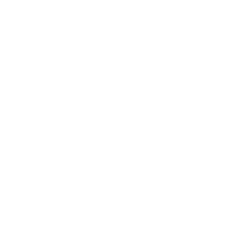 decision-icono.png