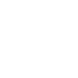 casino-icono-blanco.png